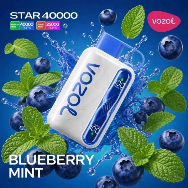 Vozol Star 40000 – Blueberry Mint