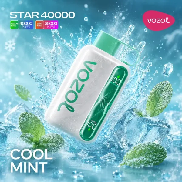 Vozol Star 40000 – Cool Mint